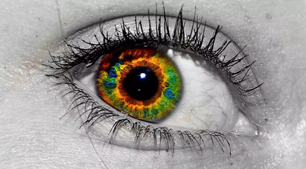 Αχρωματοψία: Πώς επηρεάζει άνδρες και γυναίκες – Είναι πάντα κληρονομική; Οι παράγοντες κινδύνου