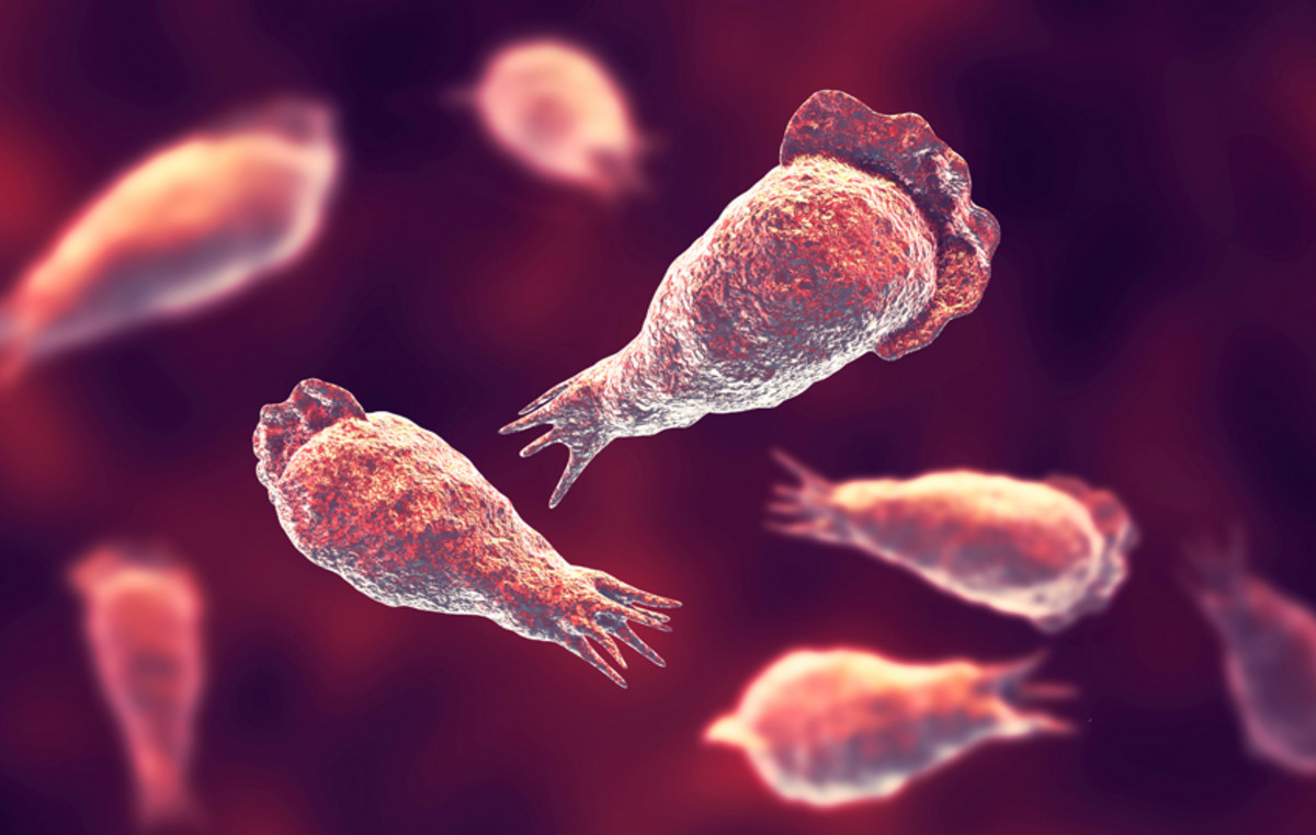 Επιστήμονες προειδοποιούν για τη ραγδαία εξάπλωση των ελεύθερων αμοιβάδων