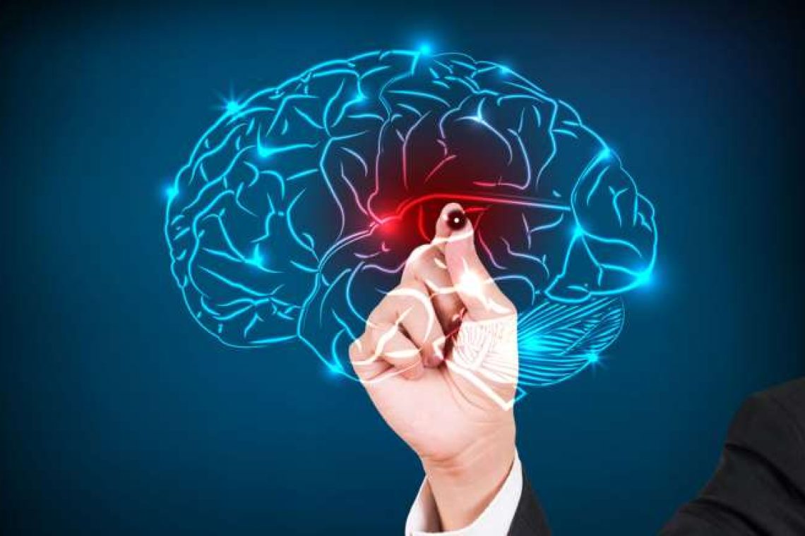 Ποια η σύνδεση ανάμεσα σε εγκέφαλο και… αντίχειρα; – Τι ανακάλυψαν επιστήμονες