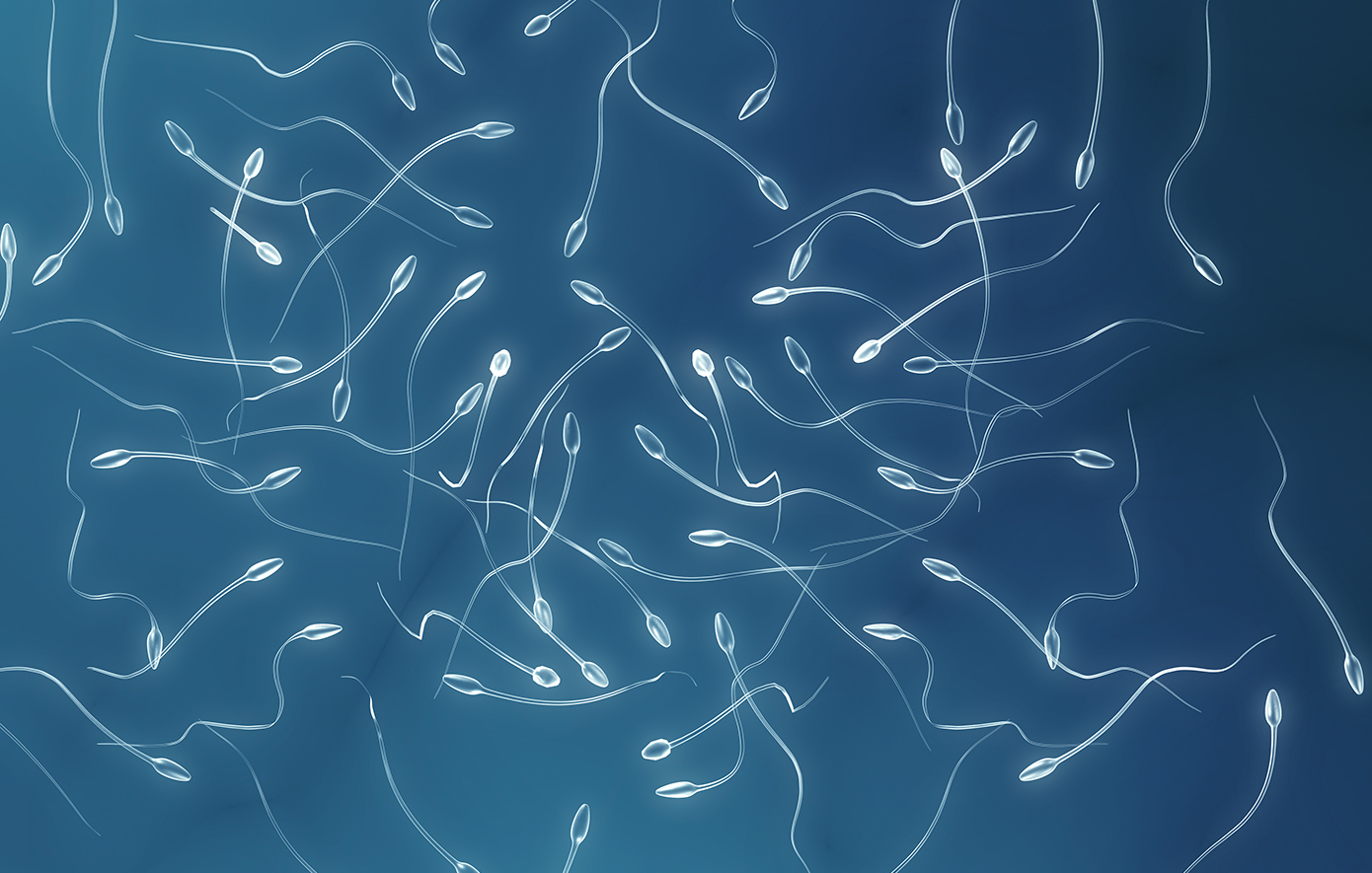 Δείτε τι συμβαίνει στο σπέρμα εάν παραμείνει μέσα στο ανδρικό σώμα (βίντεο)