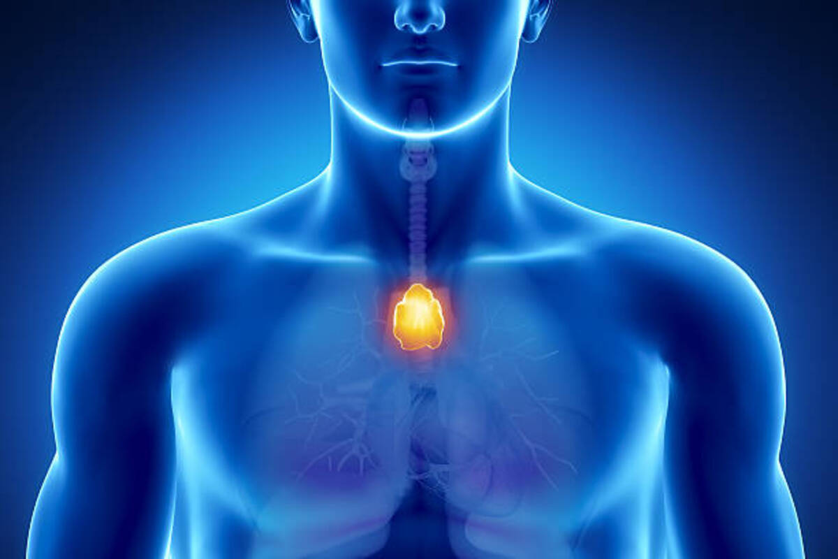 Δείτε από τι κινδυνεύουν όσοι αφαιρούν τον θύμο αδένα