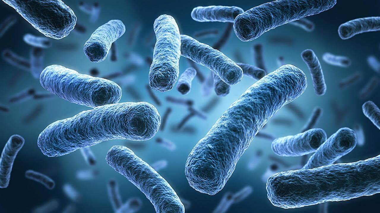 Επικίνδυνα βακτήρια εντοπίστηκαν σε ύδατα του Long Island: Τα θύματα πεθαίνουν μέσα σε 48 ώρες!