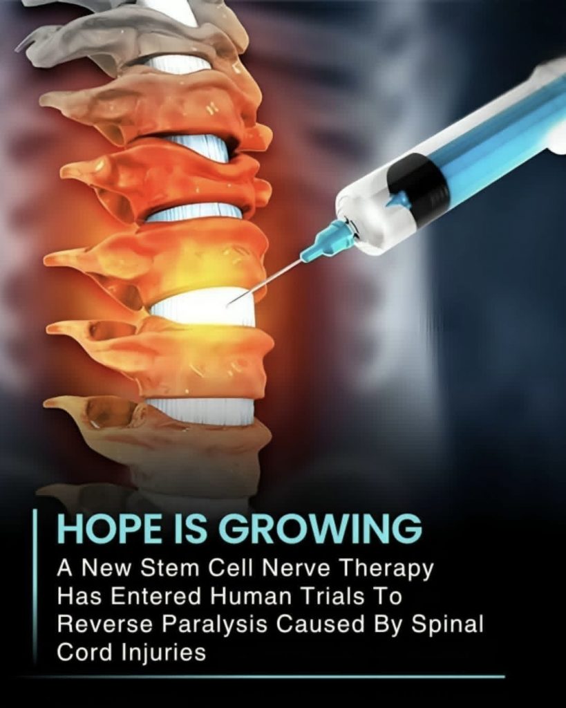 Θεραπεία με βλαστοκύτταρα δίνει ελπίδες σε όσους έχουν μείνει παράλυτοι
