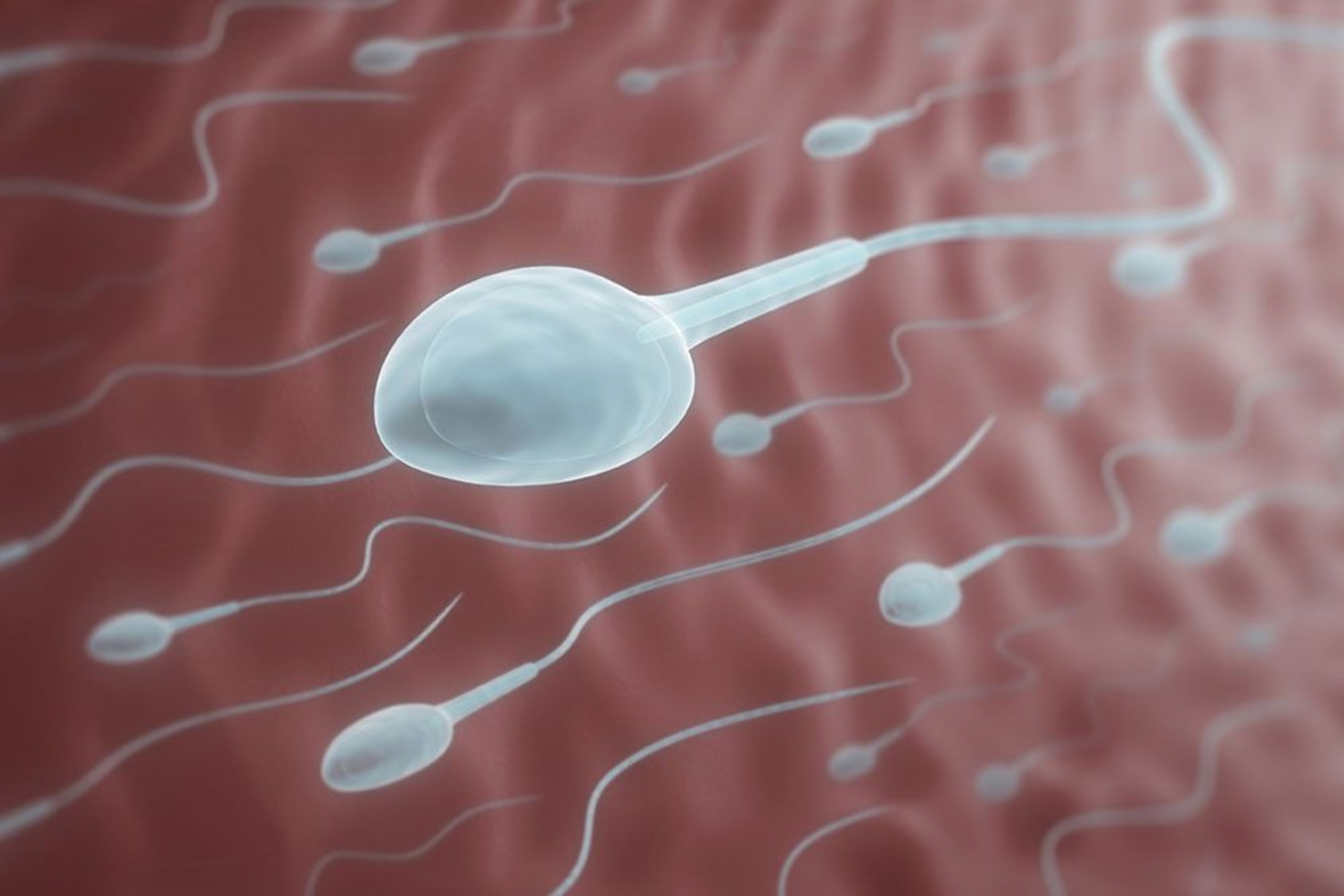 Η ατμοσφαιρική ρύπανση «χτυπά» το ανδρικό DNA – Αλλαγές στο σπέρμα προκαλούν ανησυχία για τη γονιμότητα